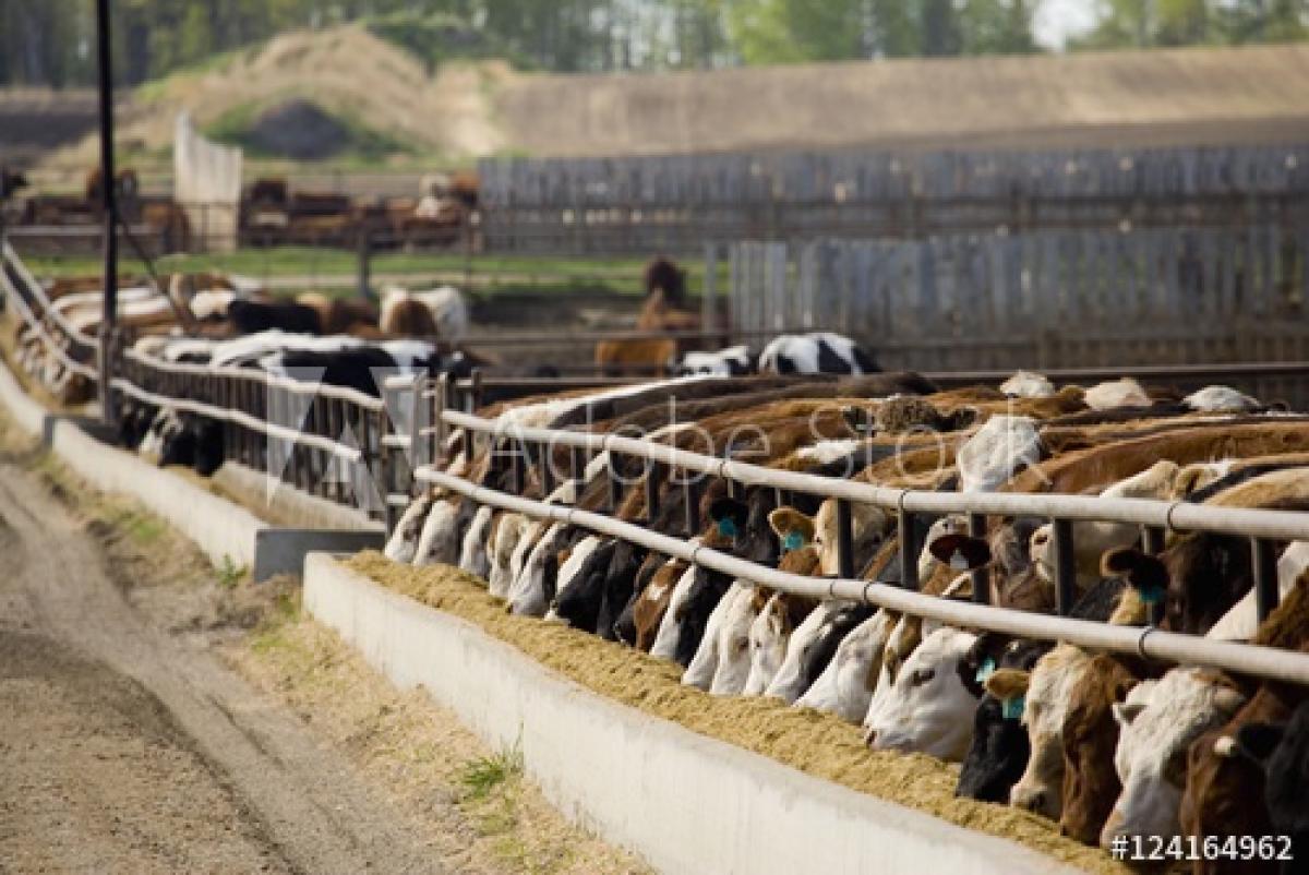 Lorem ipsum dolor sit amet.